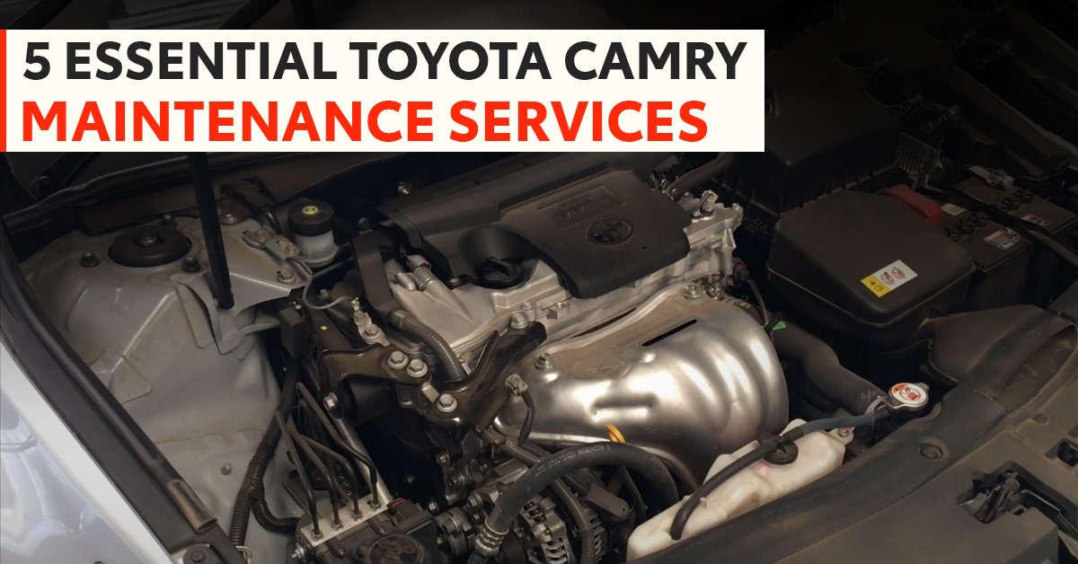 Toyota Camry Maintenance